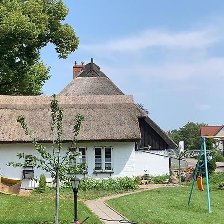 Ferienhaus Alte Schule Rambin Auf Ruegen Zewnętrze zdjęcie